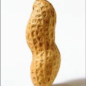 Meet your Posher, Moe